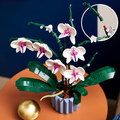 LEGO 10311 Icons Orchidee, Künstliche Pflanzen Set mit Blumen, Geschenk